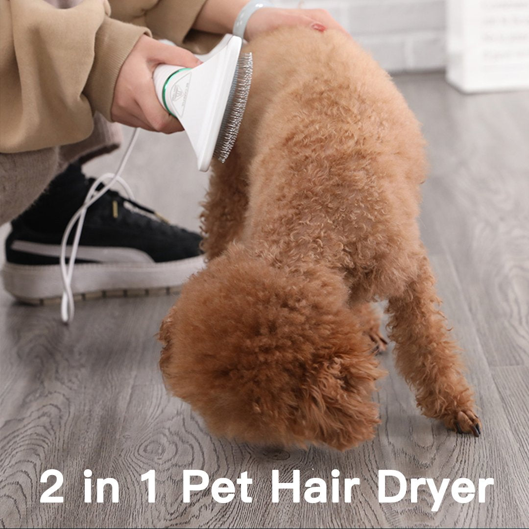 2 in 1 Pet Hair Dryer