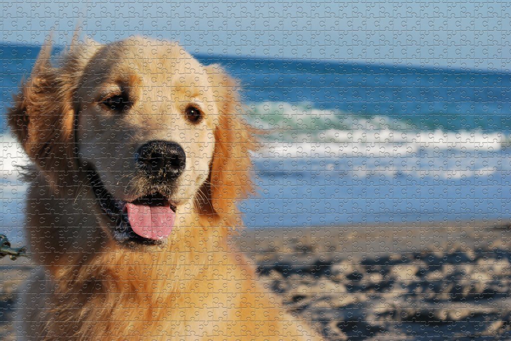latest animal puzzle 500/1000 pieces