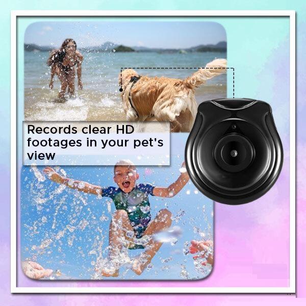 PetView UltraHD Collar Camera