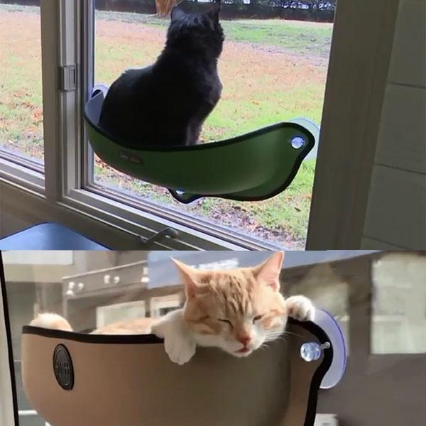 Suction Cup Pet Sleeping Bag