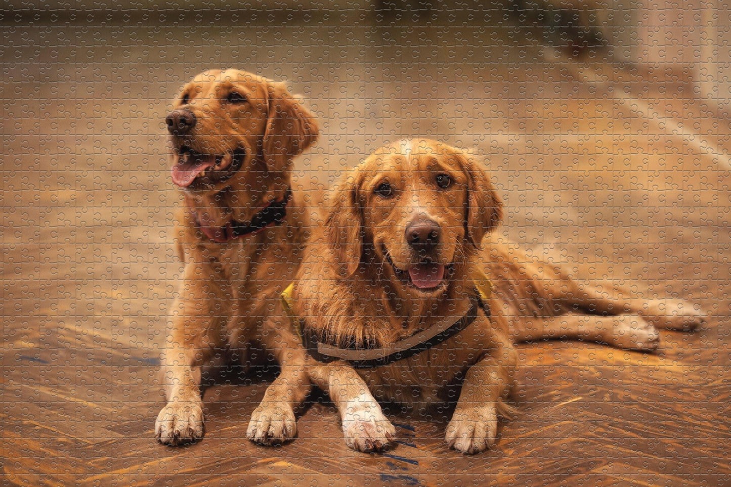 latest animal puzzle 500/1000 pieces