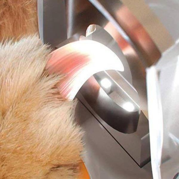 LED Light Pet Nail Clipper
