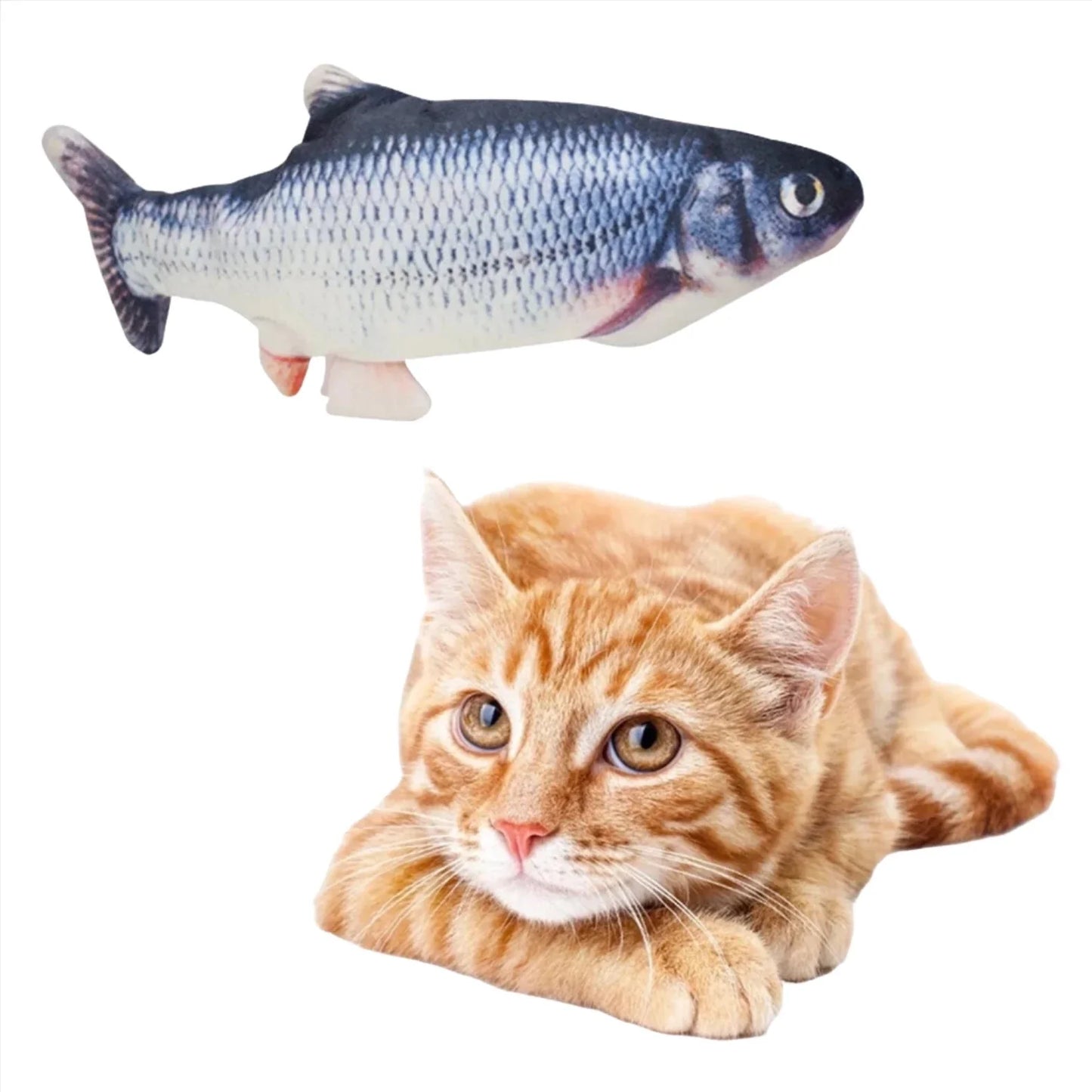 Cat Toy| Floppy Fish Cat Toy