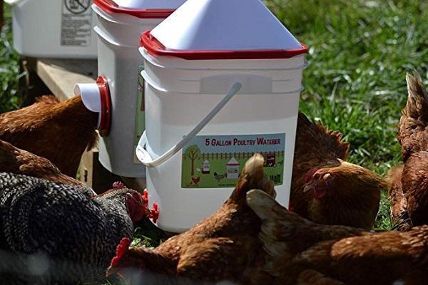 【Buy more save more】Horizontal Side Mount Chicken Waterer