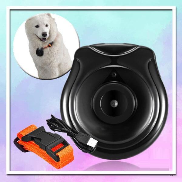 PetView UltraHD Collar Camera