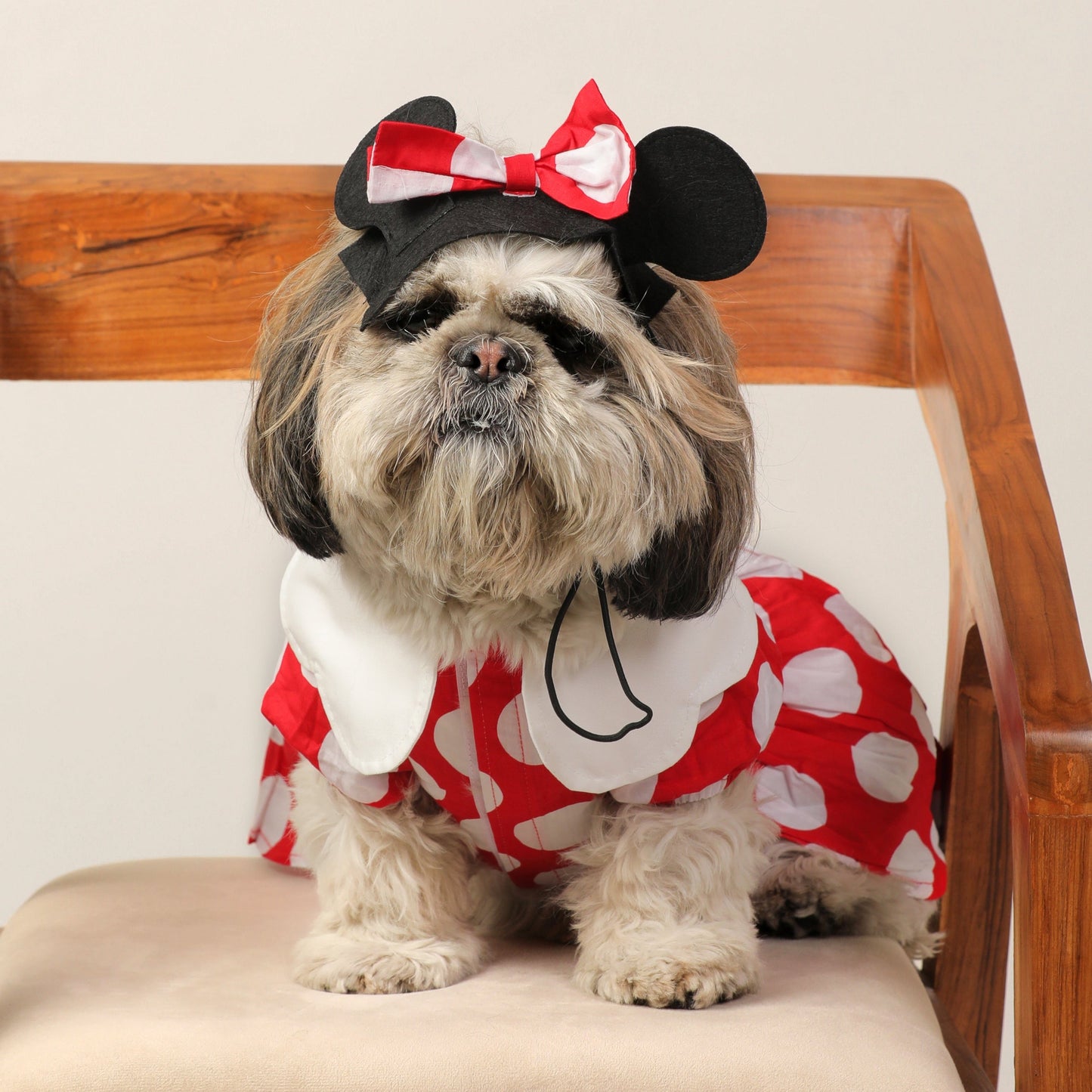 Dog Clothes| Pet Minnie Mouse Dress Costume | Sizes and Colours Available| Claws N Paws