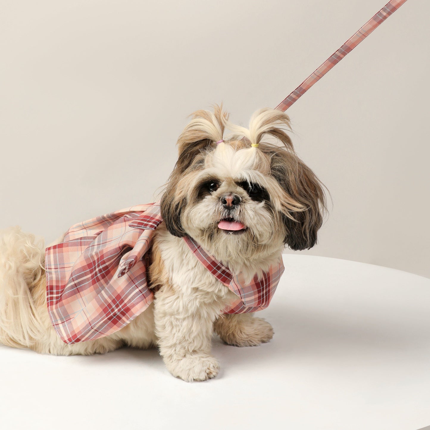 Gingham Print Premium Summer Harness Dress – Trendy & Lightweight Dog Clothes