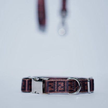 Brown FENDI Collar & Leash Set