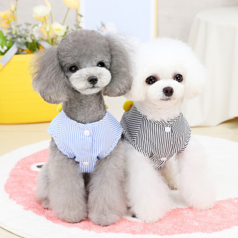 Casual Striped Crop T-Shirt Harness Vest - Trendy Pet Clothes for Dogs | Claws N Paws