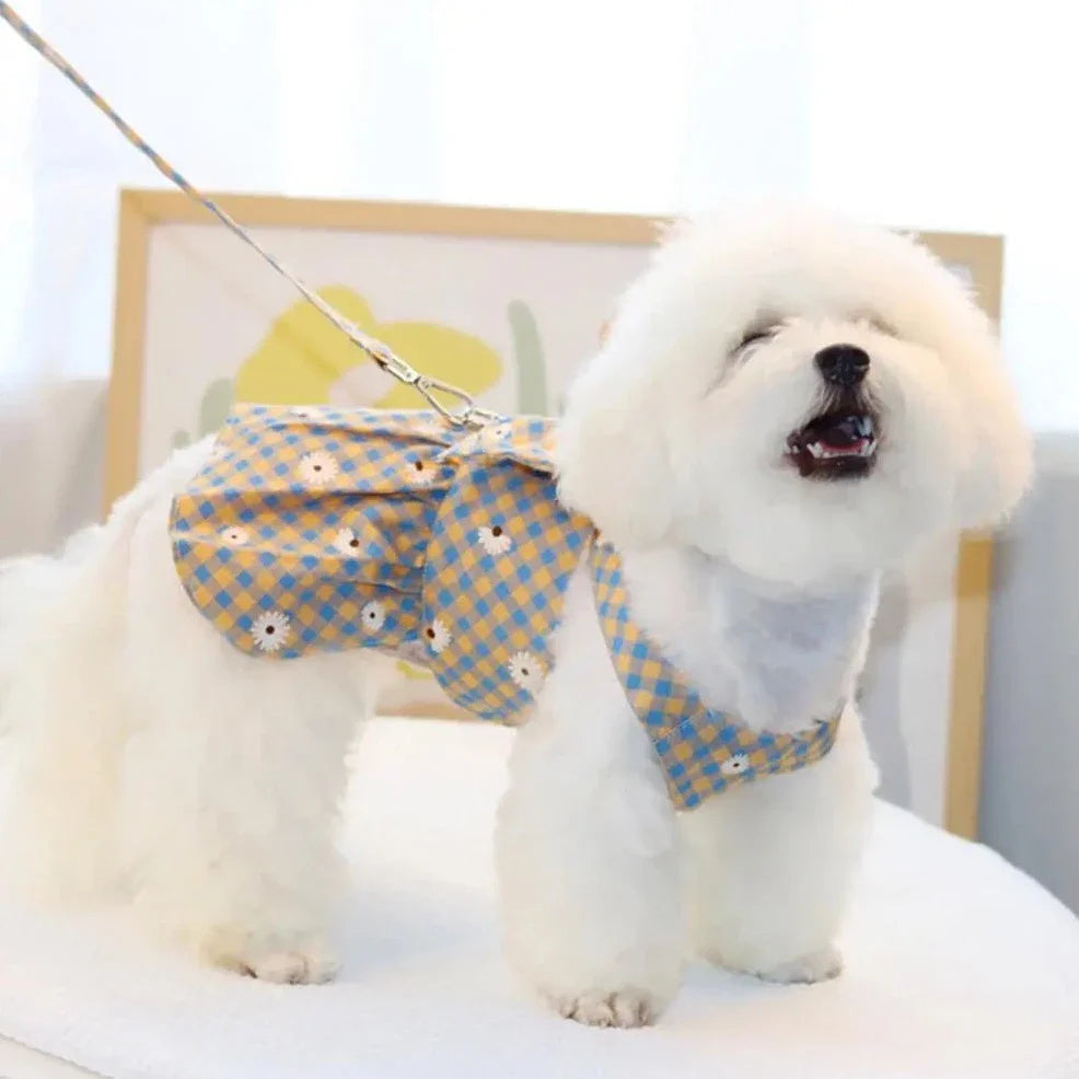 Gingham Harness Dress & Leash Set – Fashionable & Functional Pet Outfit