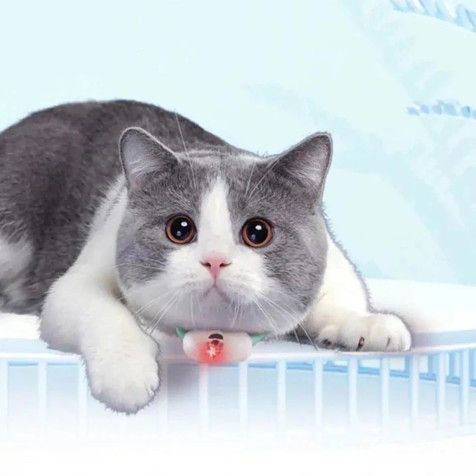 Smart Cat Laser Collar – Interactive Play for Your Cat