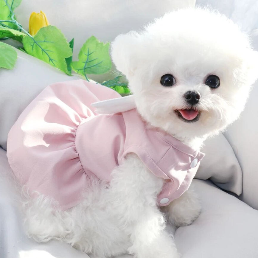 Angel Wings Pet Dress