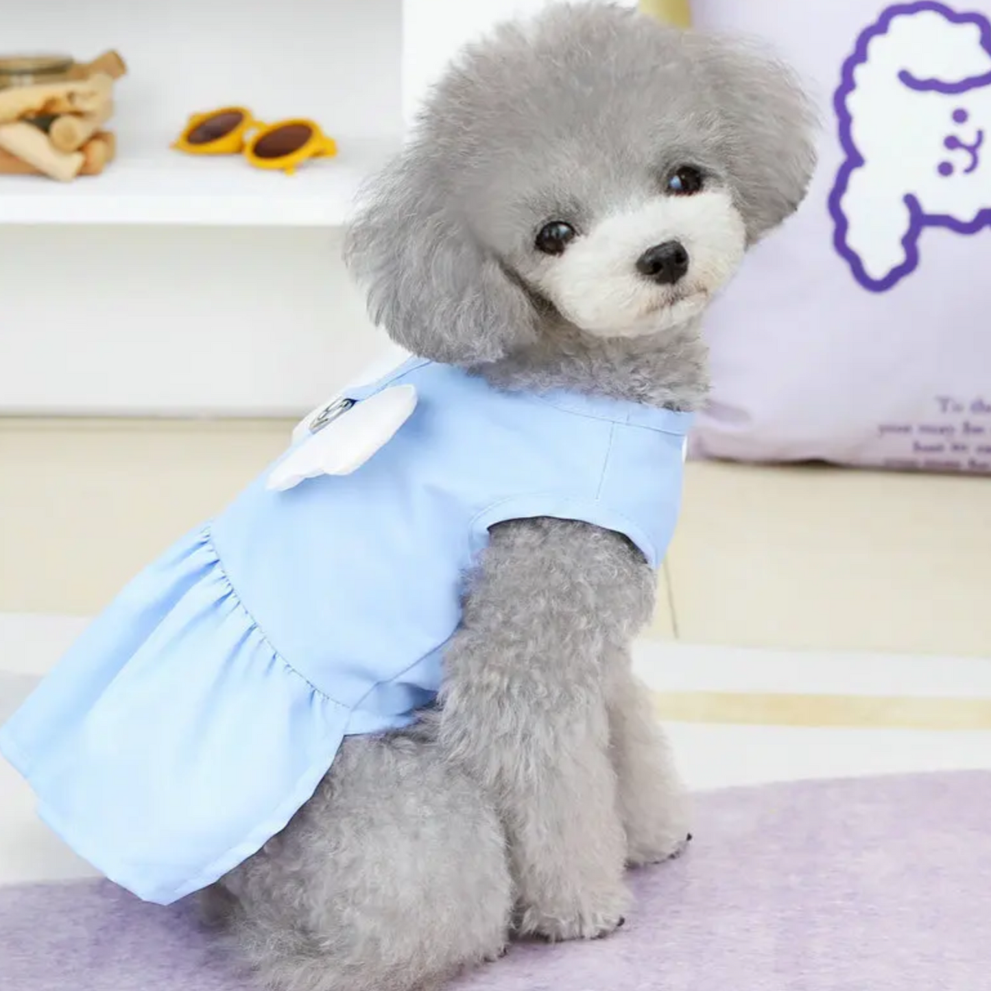 Angel Wings Pet Dress