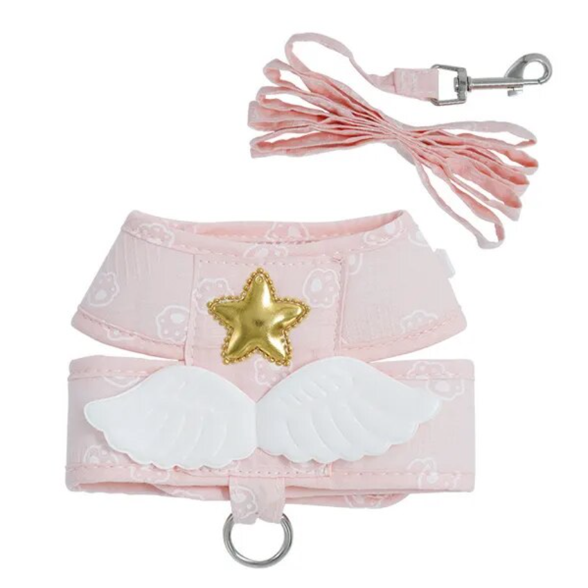 Angel Wings Harness and Leash Set