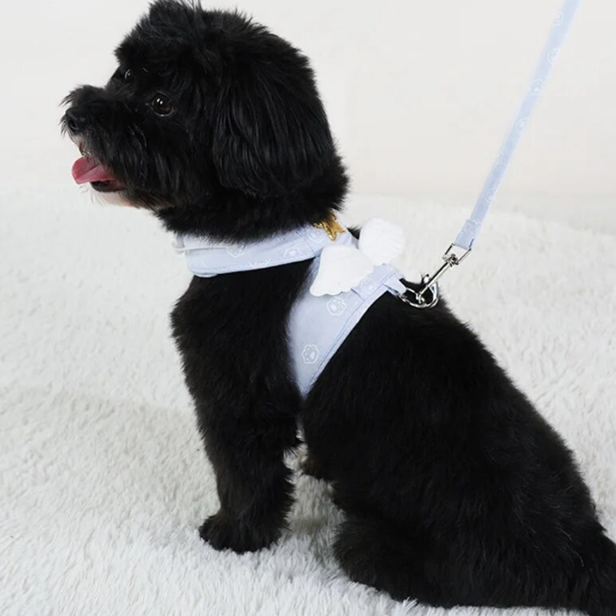 Angel Wings Harness and Leash Set