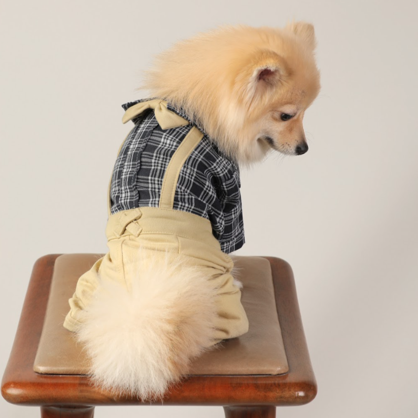 Plaid Shirt & Plain Pant Jumpsuit – Preppy & Stylish Pet Outfit
