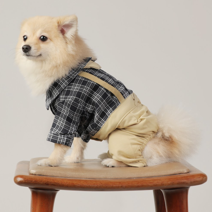 Plaid Shirt & Plain Pant Jumpsuit – Preppy & Stylish Pet Outfit
