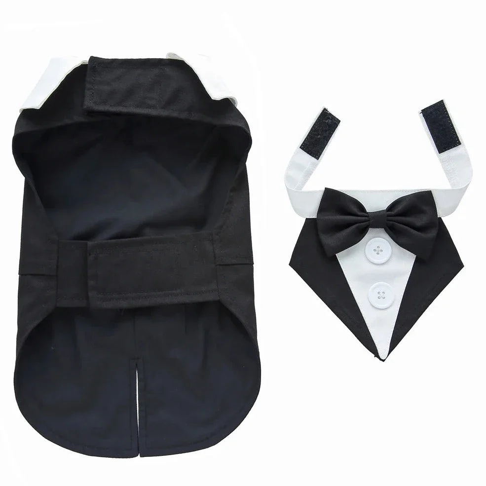 Dog Clothes| Pet Wedding Tuxedo | Sizes and Colours Available| Claws N Paws