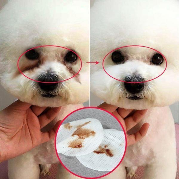Pet Eye Cleaning Pad