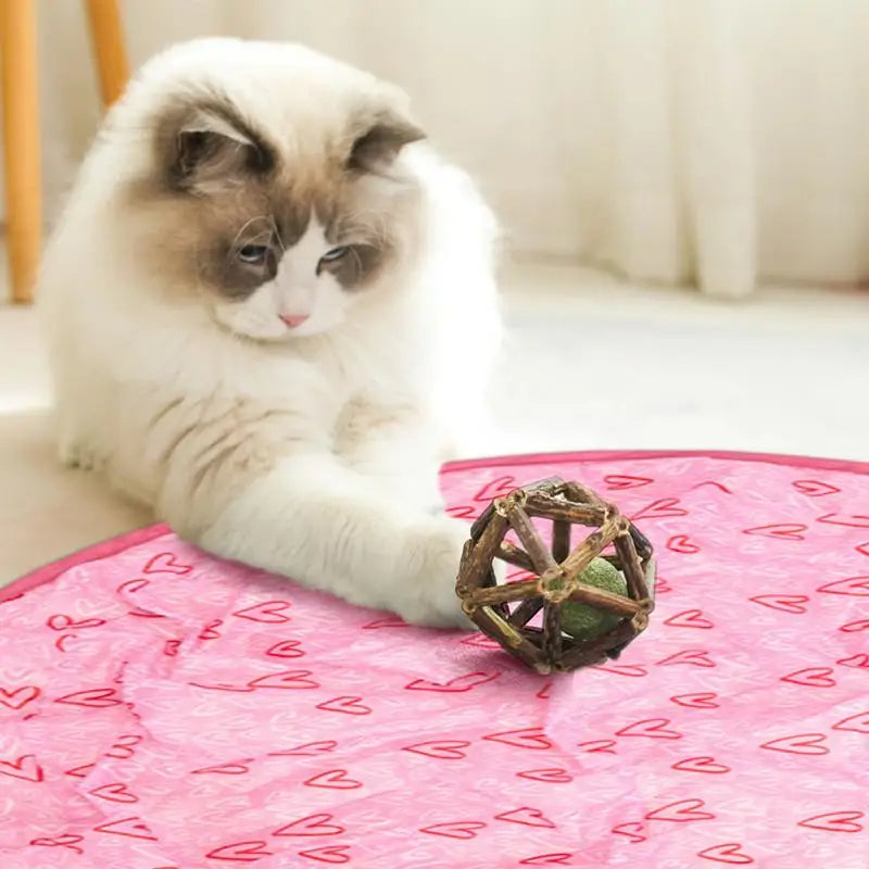 Smart Interactive Cat Toy with LED