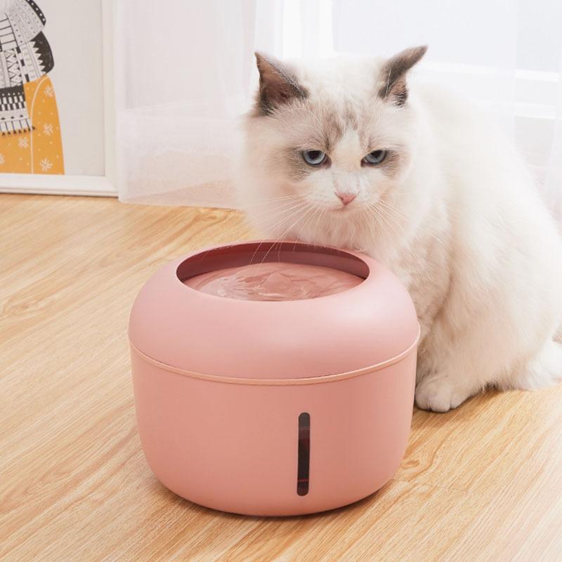 4-filter Pet Water Fountain