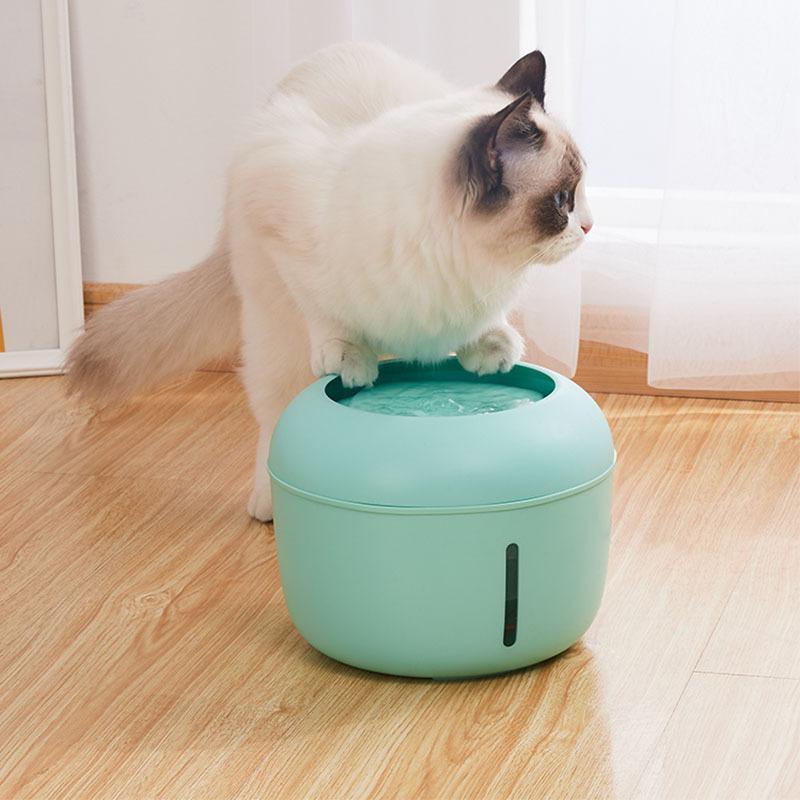 4-filter Pet Water Fountain