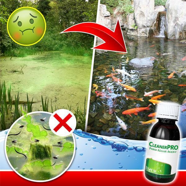 [PROMO 30% OFF] Pond Cleaner Algae Agent