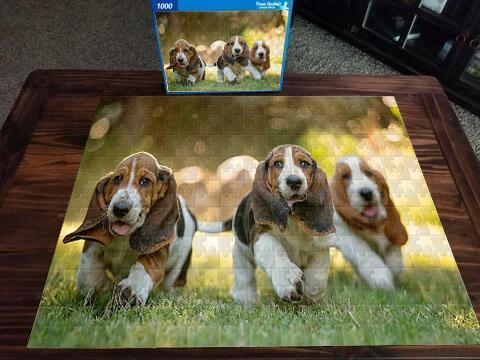 Pet Series Puzzle-Dachshund 1000 Pieces