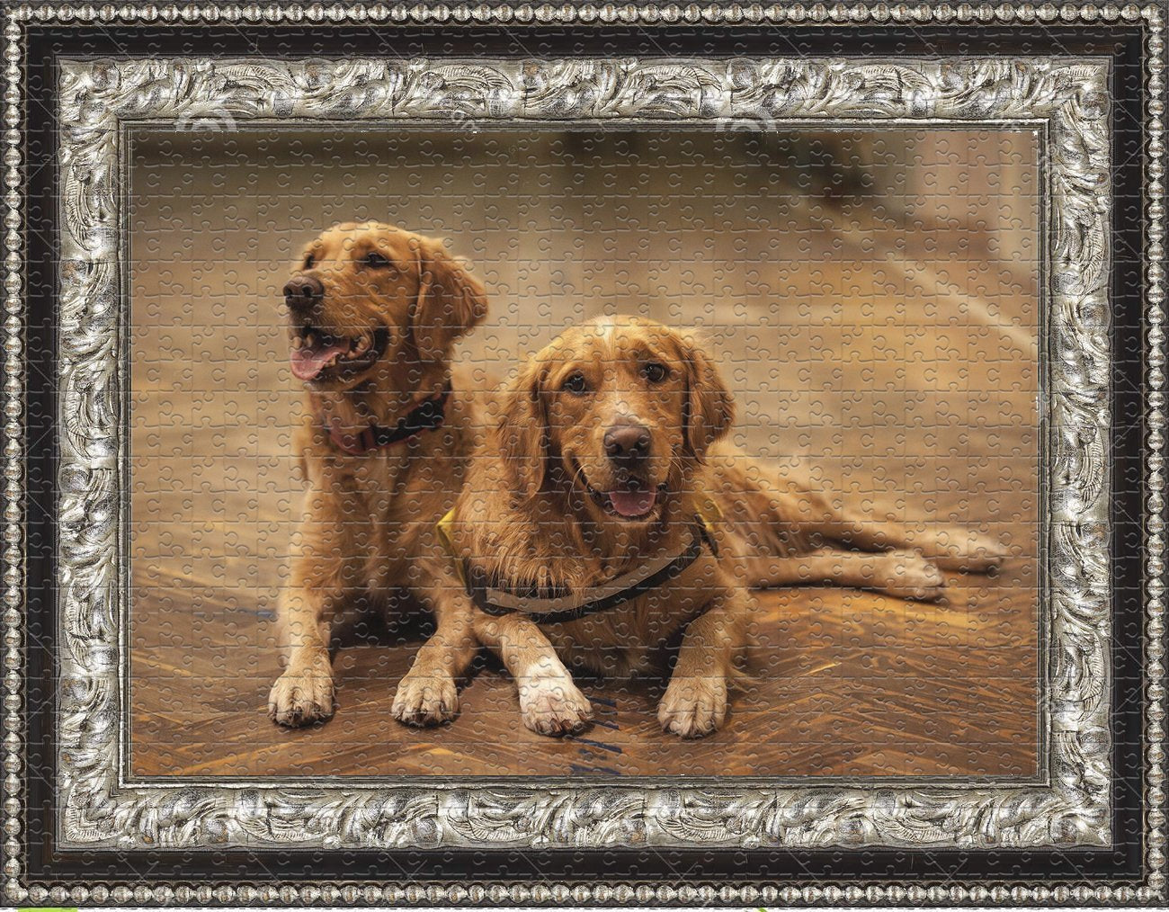 latest animal puzzle 500/1000 pieces