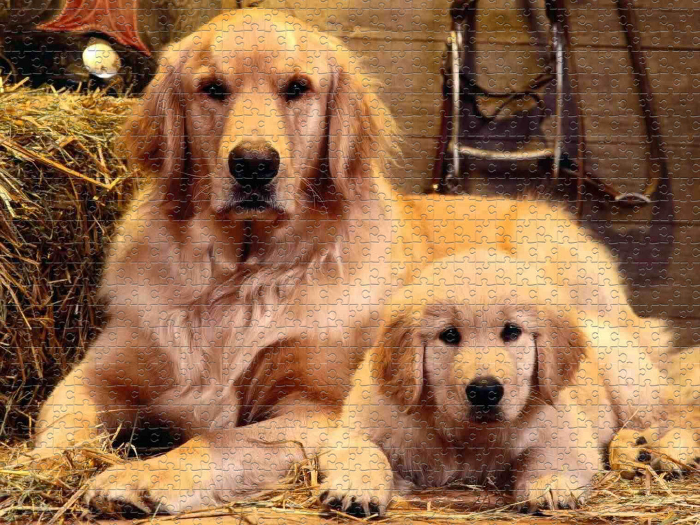 latest animal puzzle 500/1000 pieces