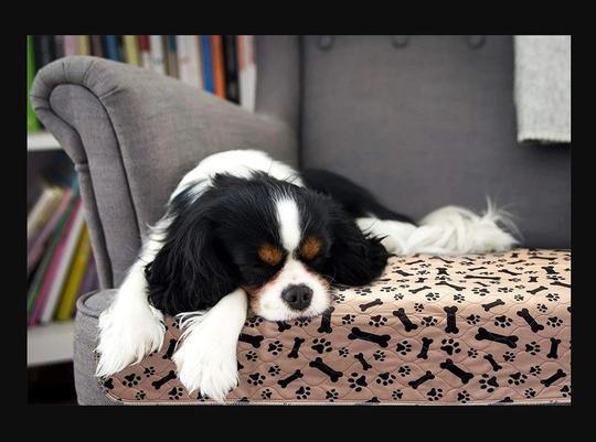 Reusable Dog Pad