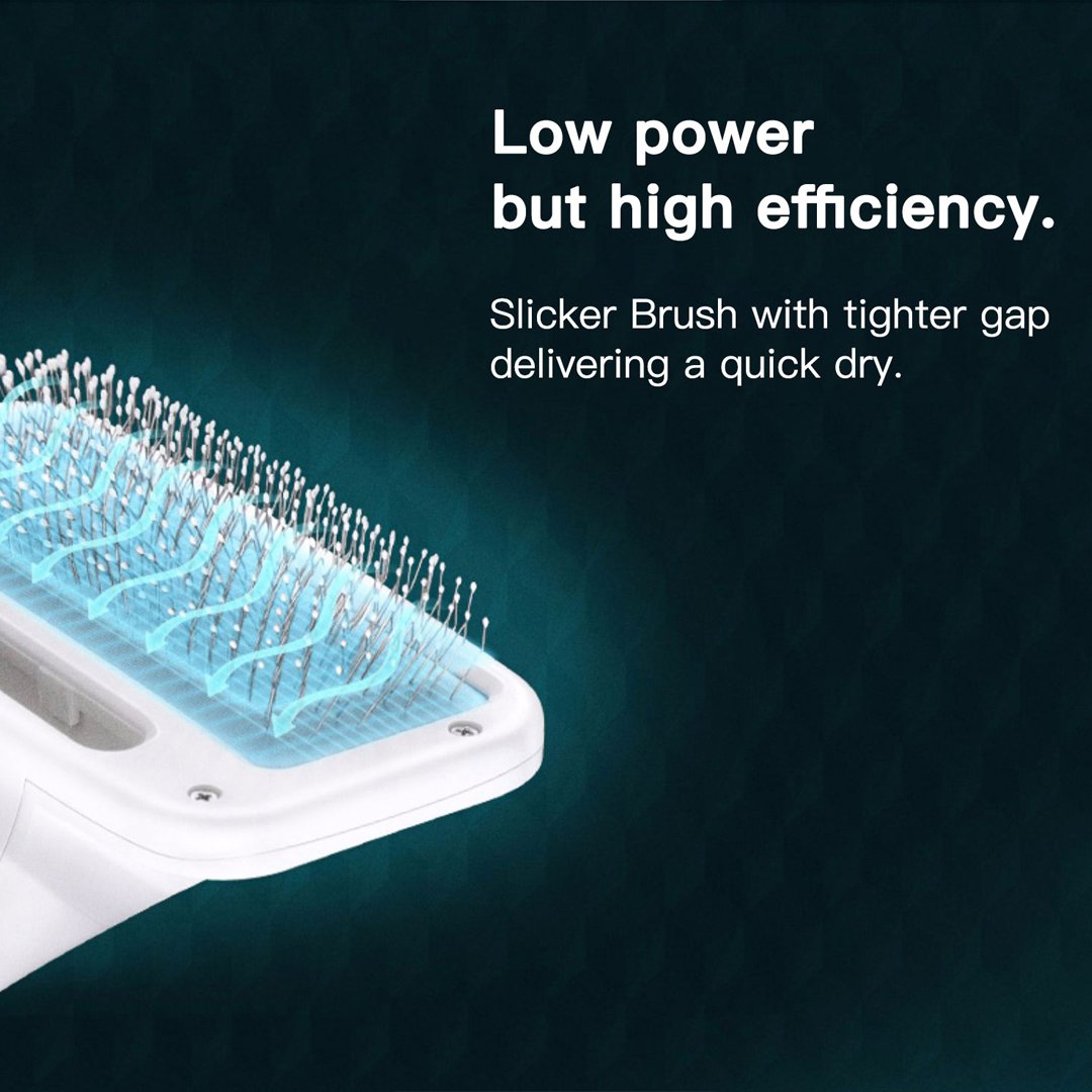 2 in 1 Pet Hair Dryer