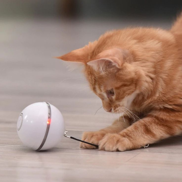LED Smart Gravitational Rotating Ball – Ultimate Play for Cats