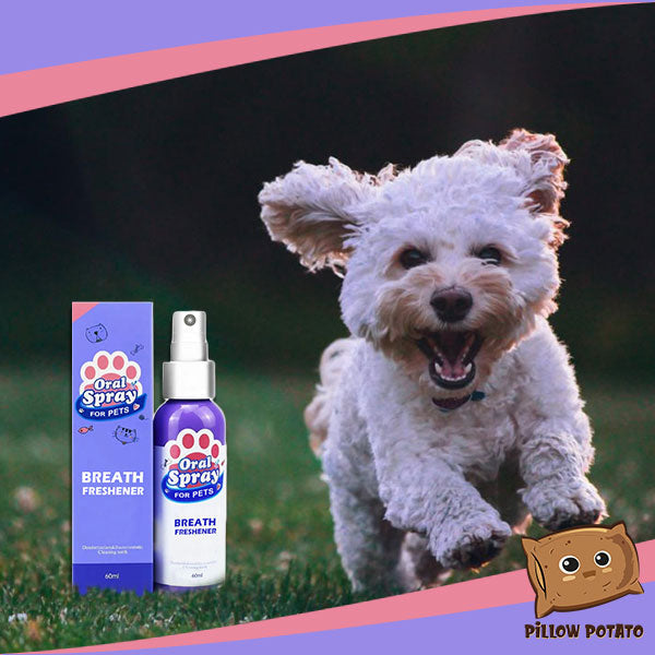 Pet Breath Cleanser