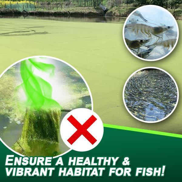 [PROMO 30% OFF] Pond Cleaner Algae Agent