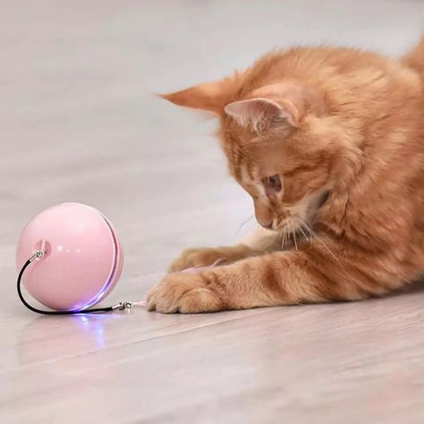 LED Smart Gravitational Rotating Ball – Ultimate Play for Cats