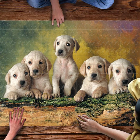 Pet Series Puzzle--Labrador 1000 Pieces（ All Items Shipped Within 1 Day）