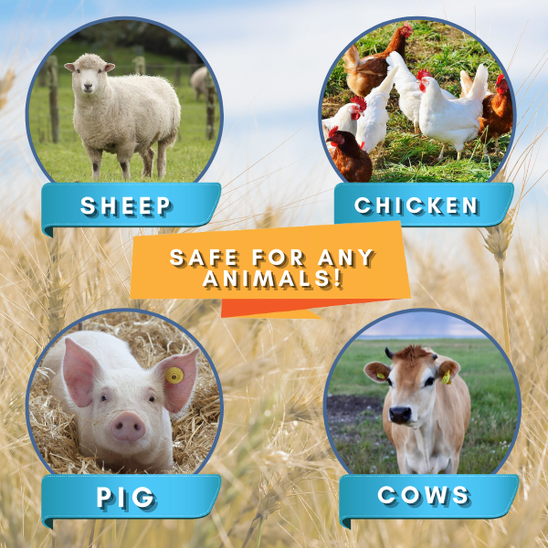 [PROMO 30%] FarmCARE+ Instant Fly Repellent