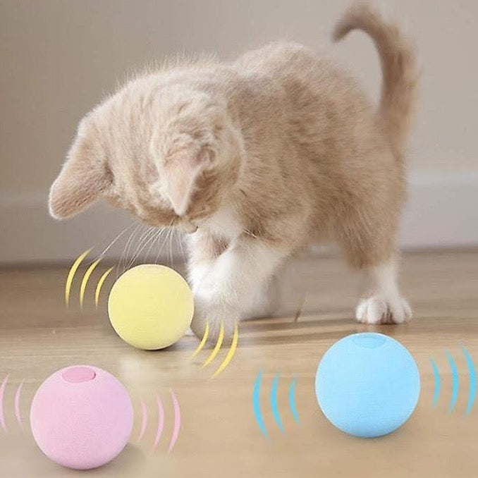 Smart Chirping Ball – Interactive Fun for Dogs & Cats