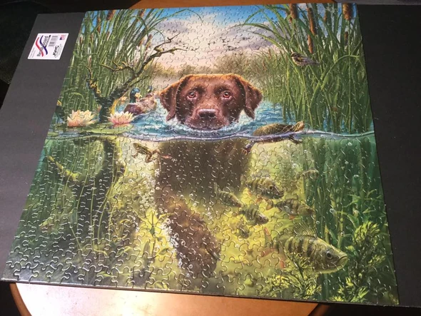 Pet Series Puzzle--Labrador 1000 Pieces（ All Items Shipped Within 1 Day）