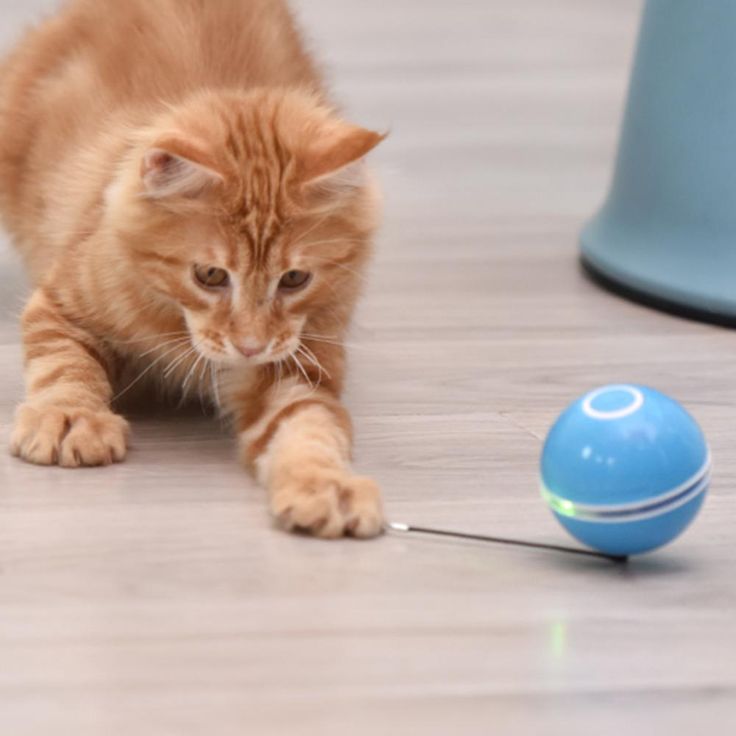 LED Smart Gravitational Rotating Ball – Ultimate Play for Cats