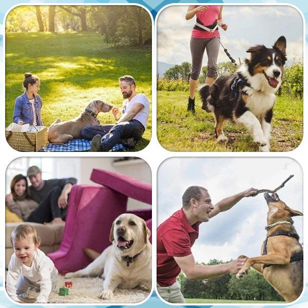 Petzen™ Dog Training Device