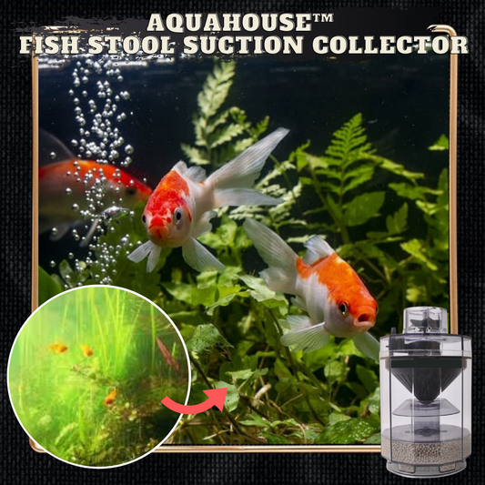AquaHouse™ Fish Stool Suction Collector
