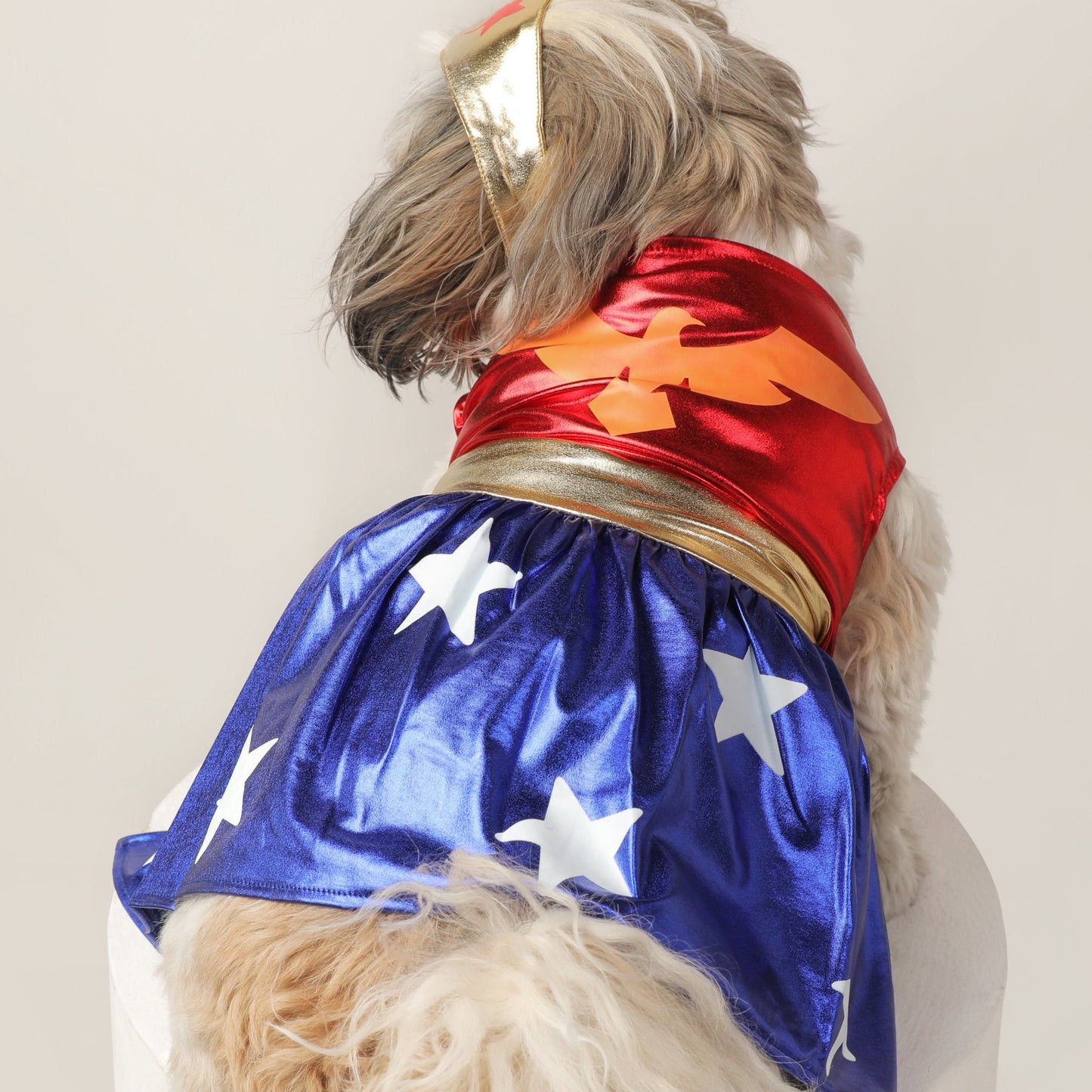 Wonder Woman Pet Costume - Stylish Dog Clothes & Accessories | Claws N Paws
