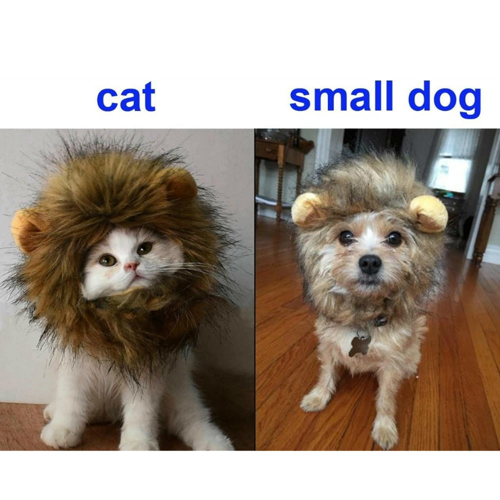 Lion Wig Cats Pets