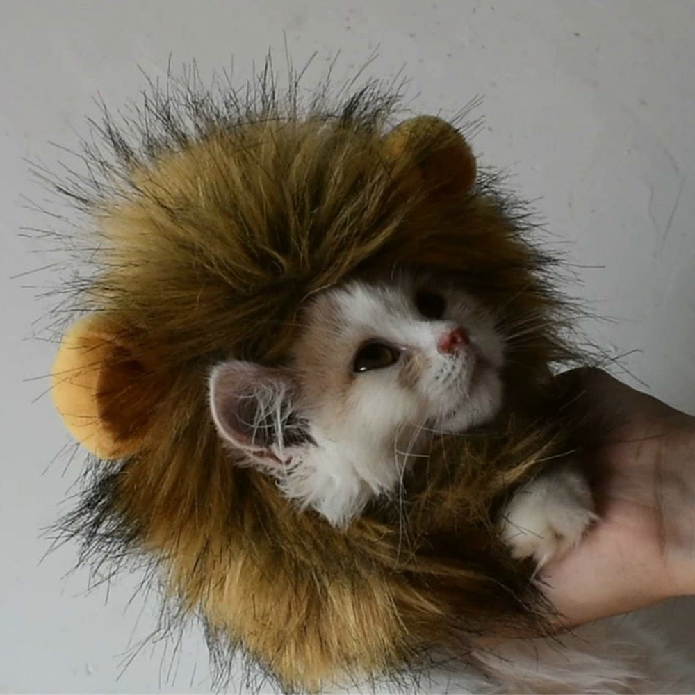 Lion Wig Cats Pets