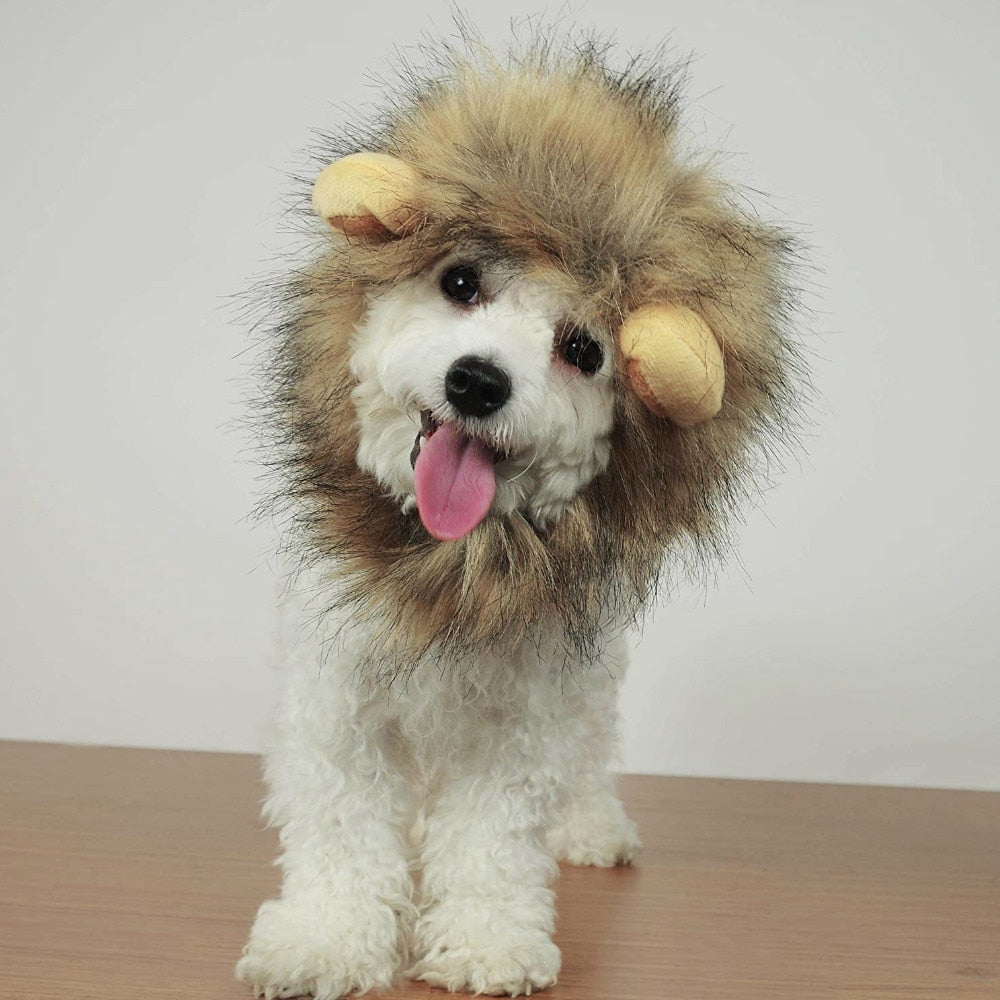 Lion Wig Cats Pets