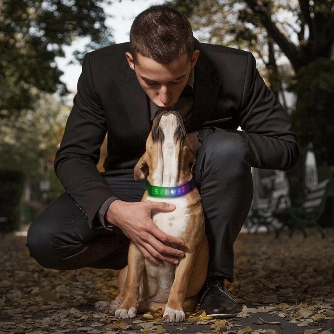 App-controlled DIY Message Pet Light Collar