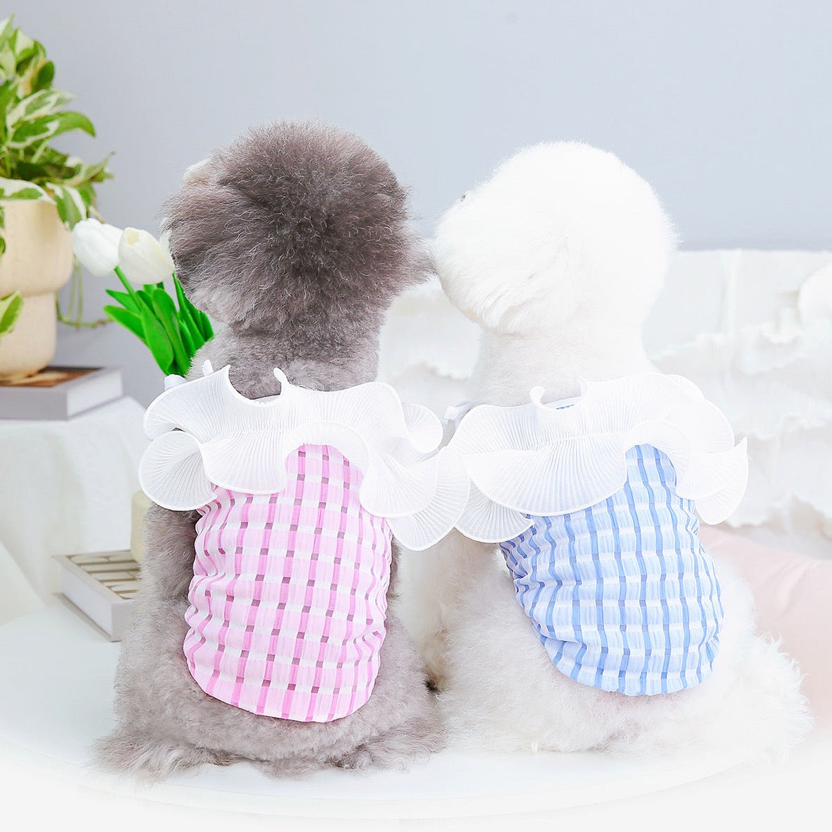 Halterneck Frill Shoulder Pet Top - Elegant Dog Clothes & Apparel | Claws N Paws