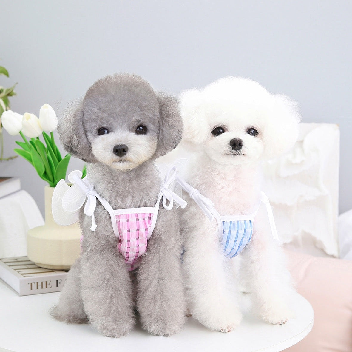 Halterneck Frill Shoulder Pet Top - Elegant Dog Clothes & Apparel | Claws N Paws